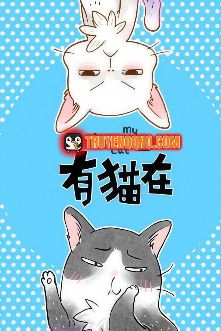 Ở Đây Có Mèo